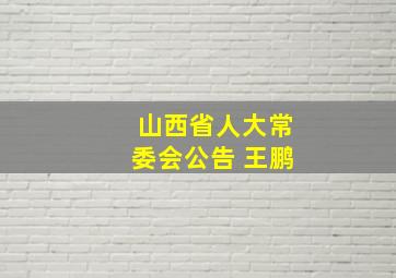 山西省人大常委会公告 王鹏